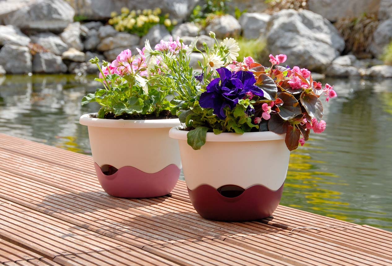 Aby vaše květiny na balkóně rostli