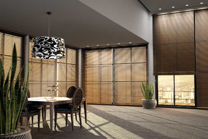 Jaké žaluzie vybrat?